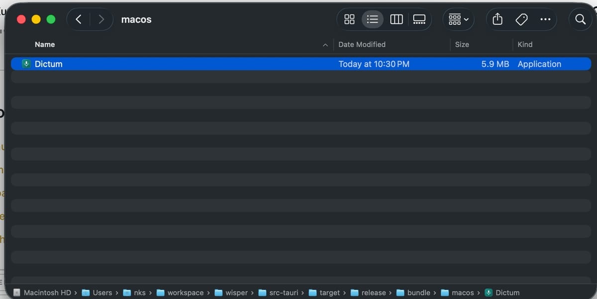 Tauri build output